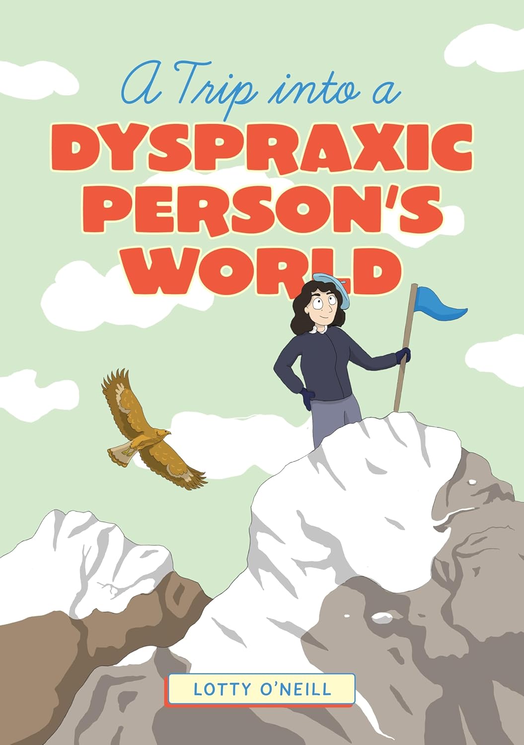 A Trip into a Dyspraxic Person's World Book